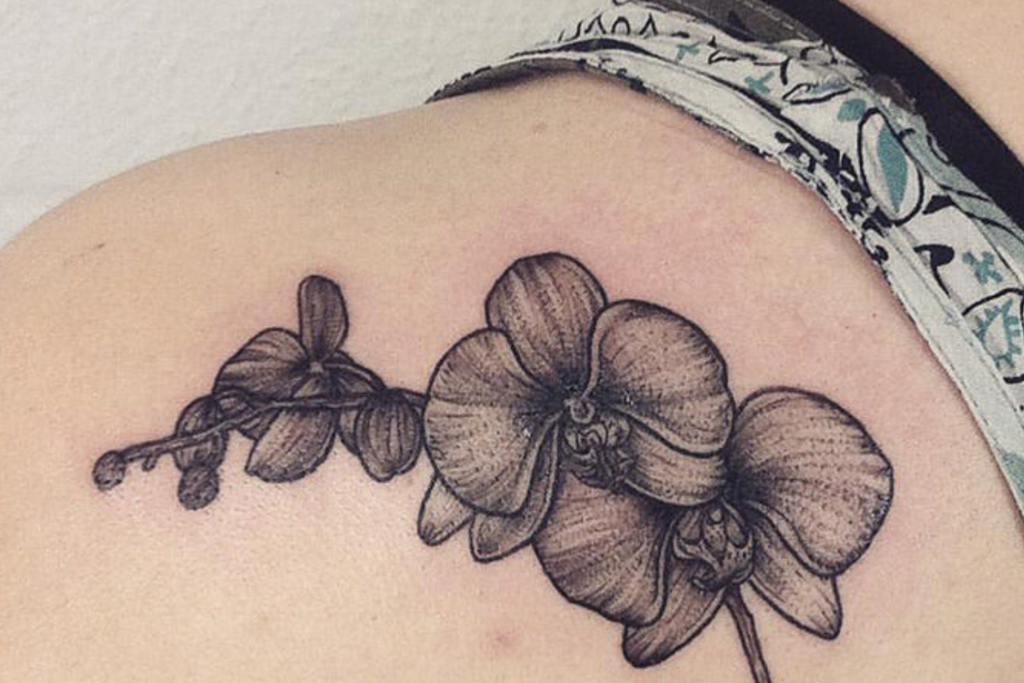 Tatuagem Orquídea