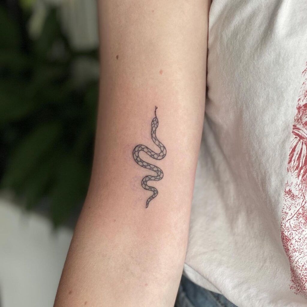 Significado Tatuagem de Cobra