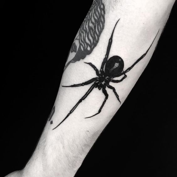 Tatuagem de Aranha