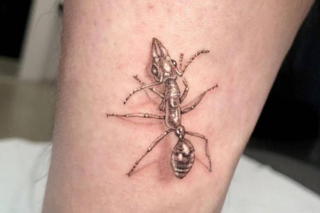 Tatuagem Formiga