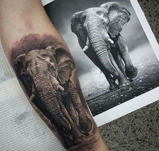 Tatuagem Elefante
