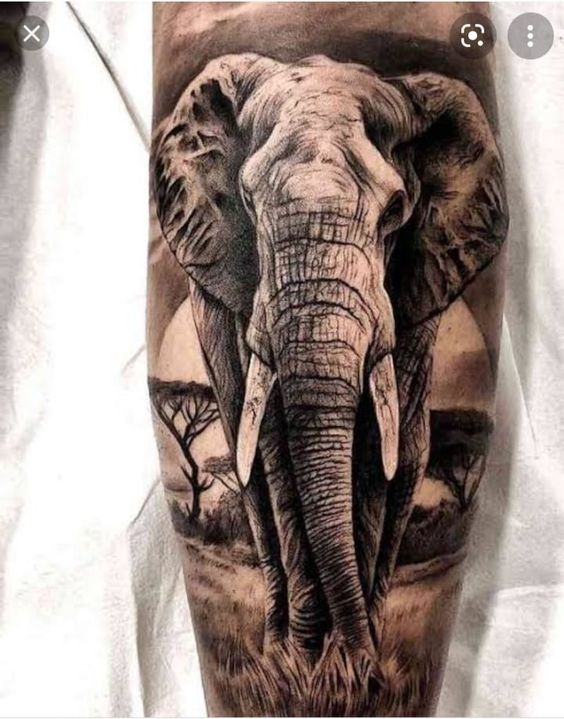 Tatuagem Elefante