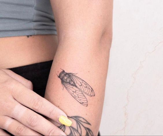 Tatuagem de Cigarra