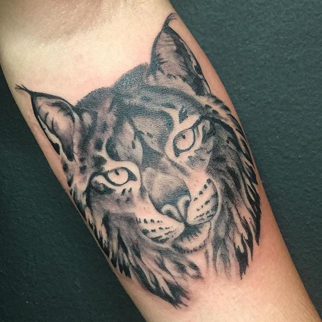 Significado Tatuagem de Lince