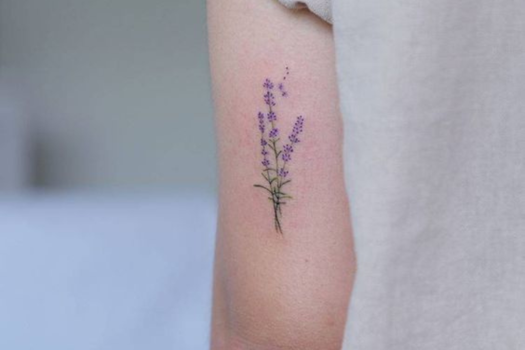 tatuagem-lavanda-3-1024x683-1 Significado tatuagem Lavanda