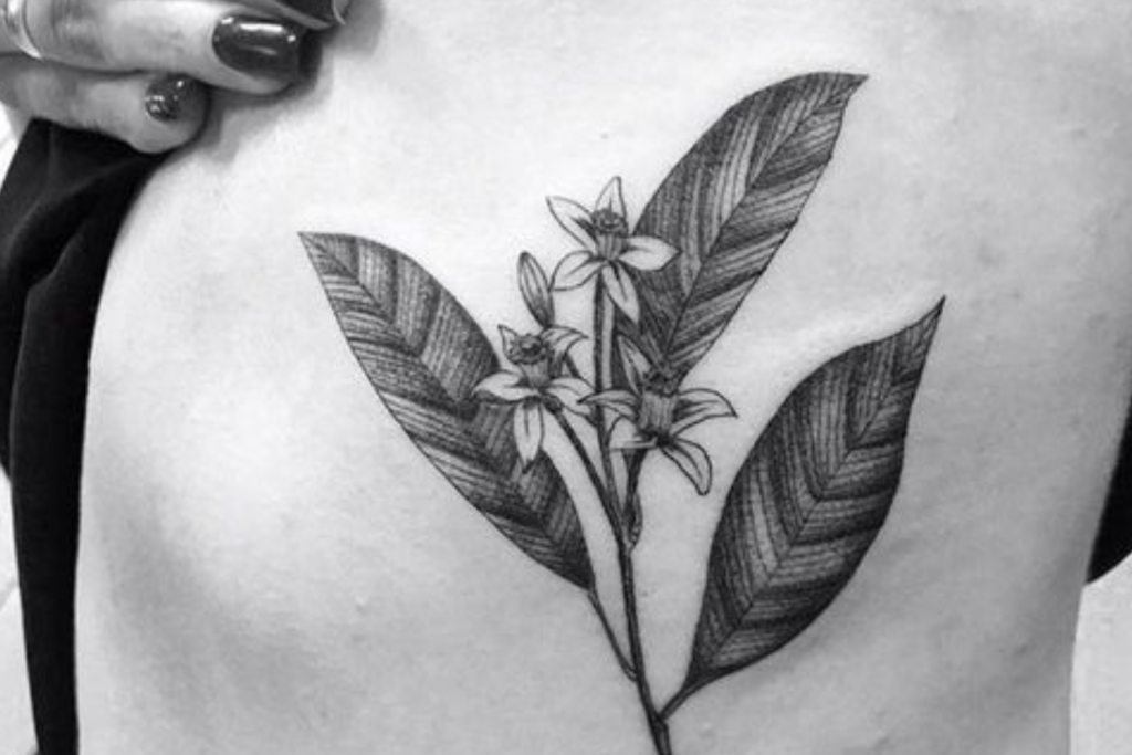 Tatuagem Flor de Laranjeira