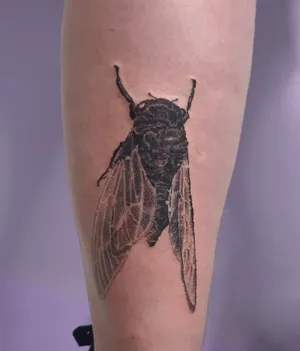 tatuagem-de-mosca-2 Tatuagem de cigarra em preto e cinza no braço de uma pessoa, com detalhes das asas e corpo do inseto.