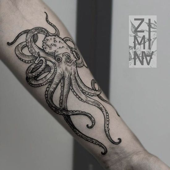 Tatuagem de polvo detalhada em bra&ccedil;o, com tent&aacute;culos estendidos. Fundo neutro.