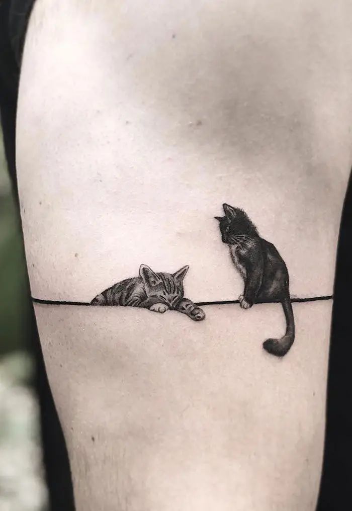 tatuagem-de-gato-3 Uma tatuagem de dois gatos sobre uma linha fina, um deitado e outro sentado, em uma área de pele clara.