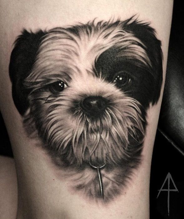 tatuagem-cachorro-2 Tatuagem realista de um cão de pelos longos e claros com um fundo escuro.