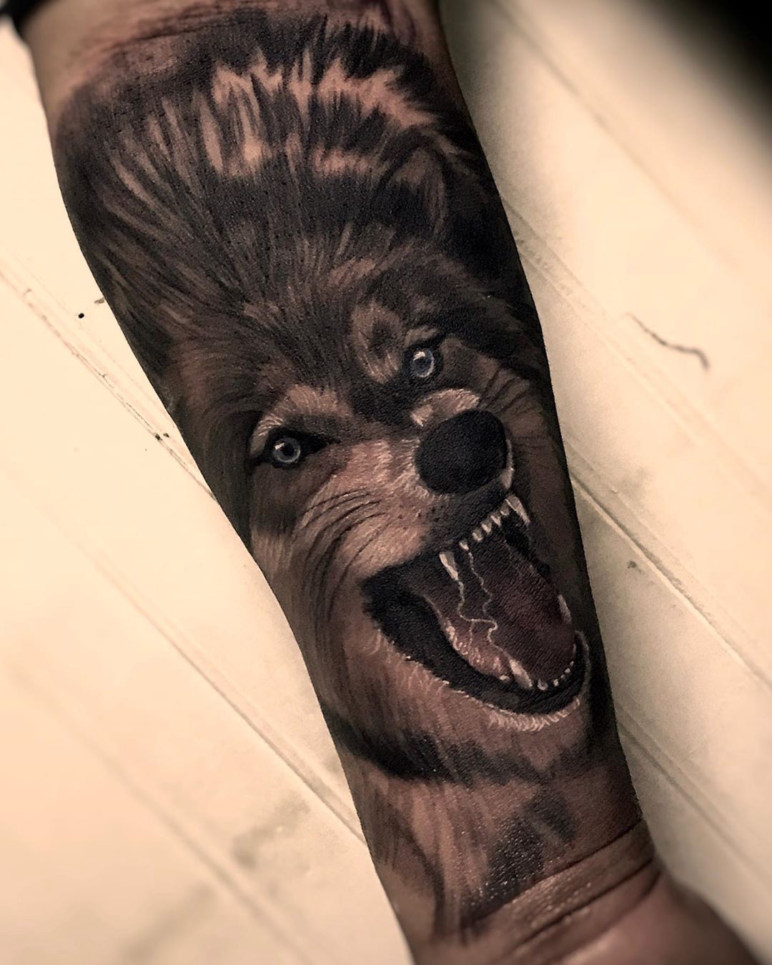 1sk6ijalrqstrwj83lzadsw Tatuagem realista de lobo com expressão feroz no antebraço de uma pessoa.