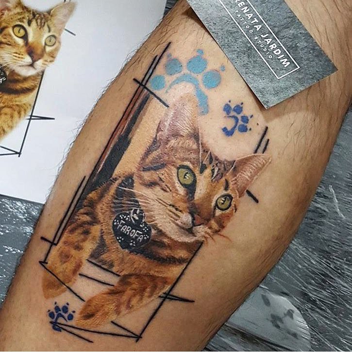 1bw7ruzil6qwimvosj_wrqq 1bw7ruzil6qwimvosj wrqq