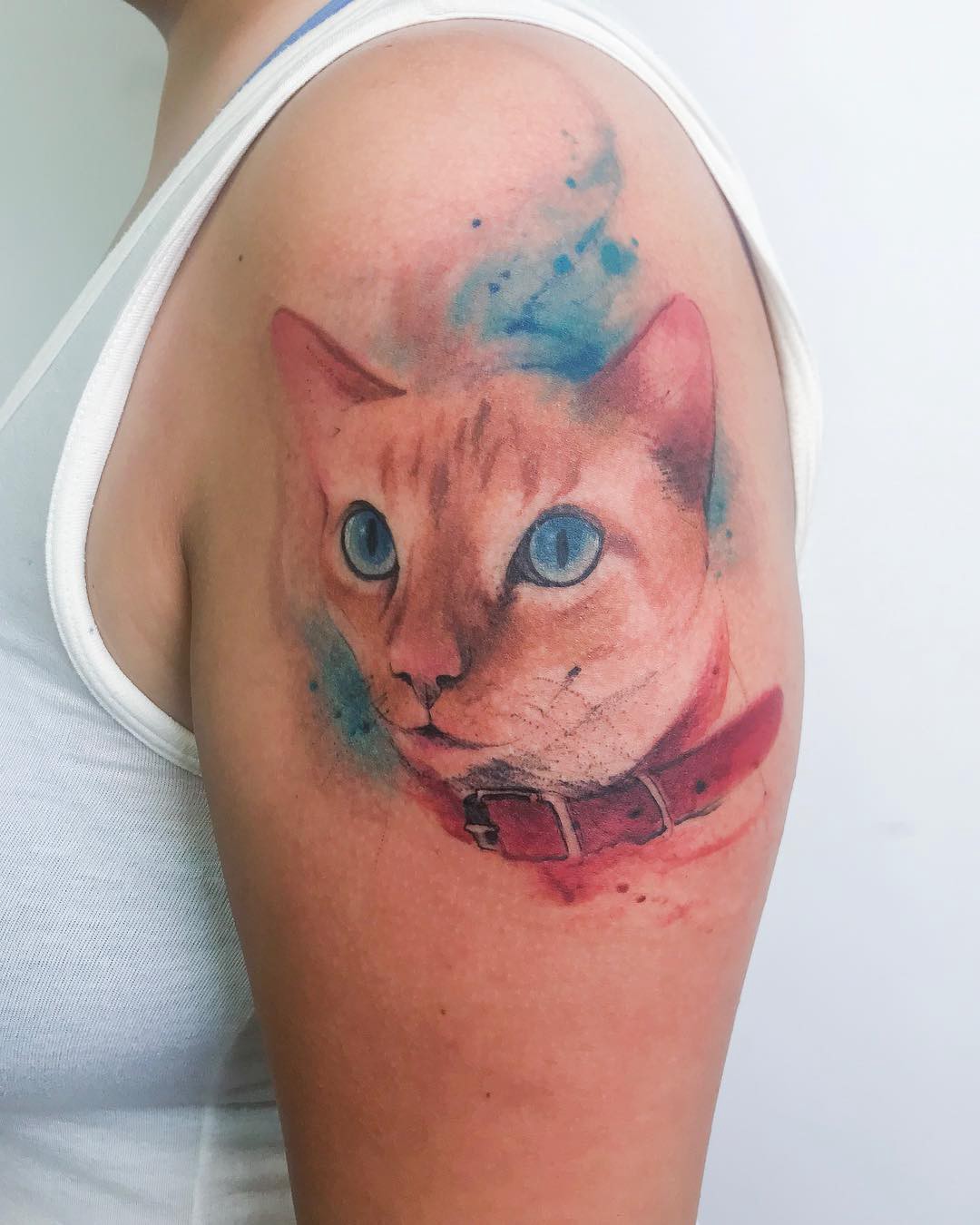 1ngwkfw2qjtrg0fnqg8ojaw 1ngwkfw2qjtrg0fnqg8ojaw