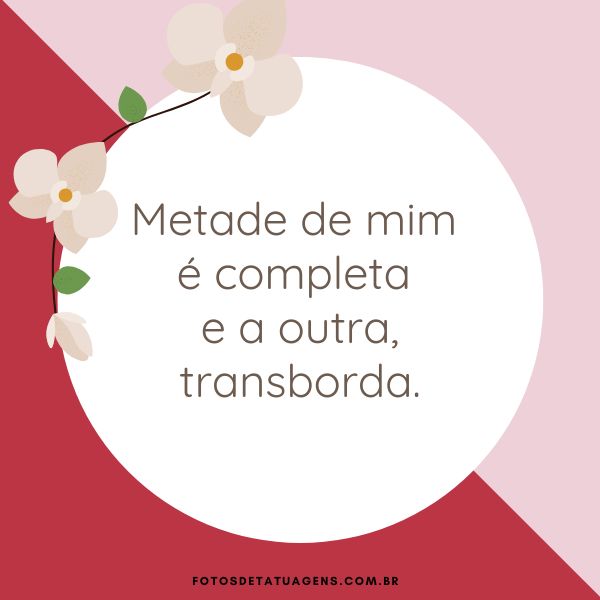 Imagem com a frase motivacional 'Metade de mim é completa e a outra, transborda' com flores ao fundo.