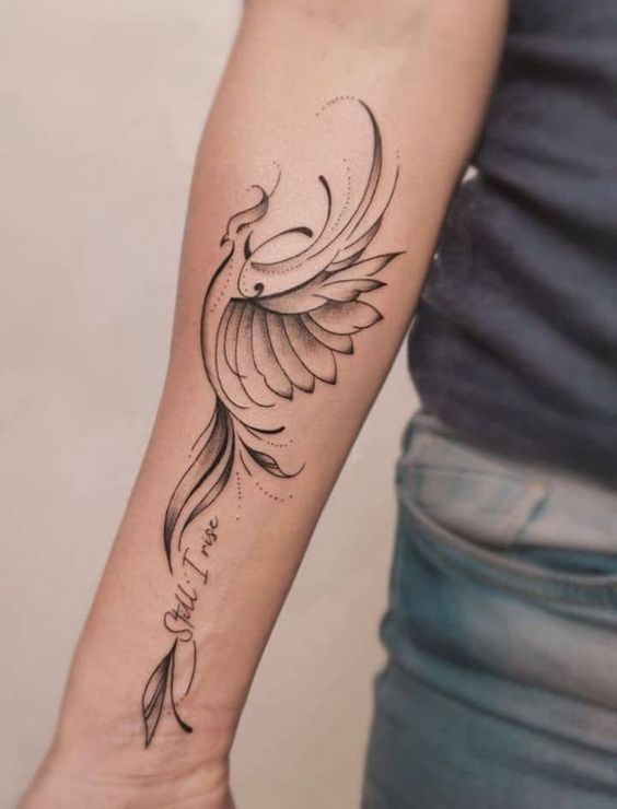 tatuagem-fenix04 tatuagem
