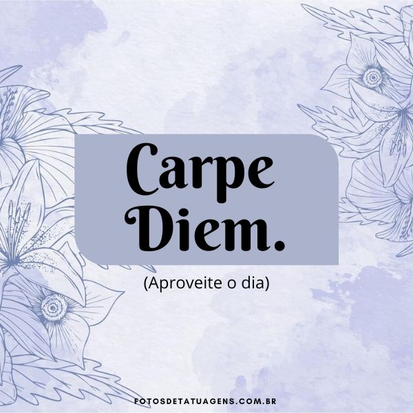 frases em latim para tatuar03