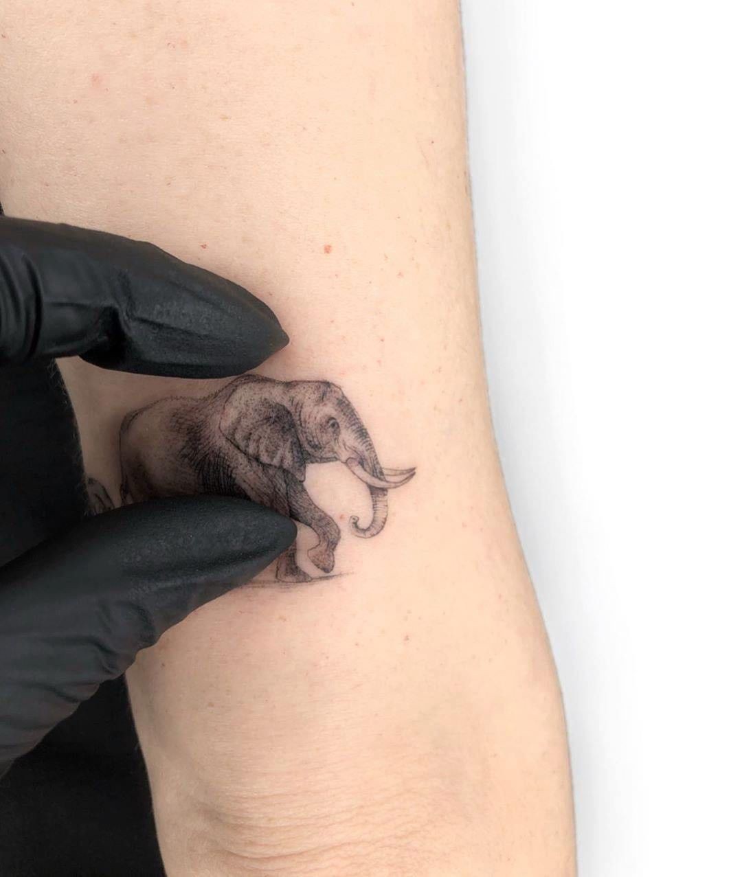 1s7qgittyh0w9el6qgb15jq 1s7qgittyh0w9el6qgb15jq