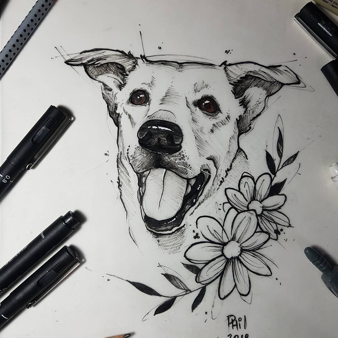 1m1m5bvmncwwq3ltl0qyopa