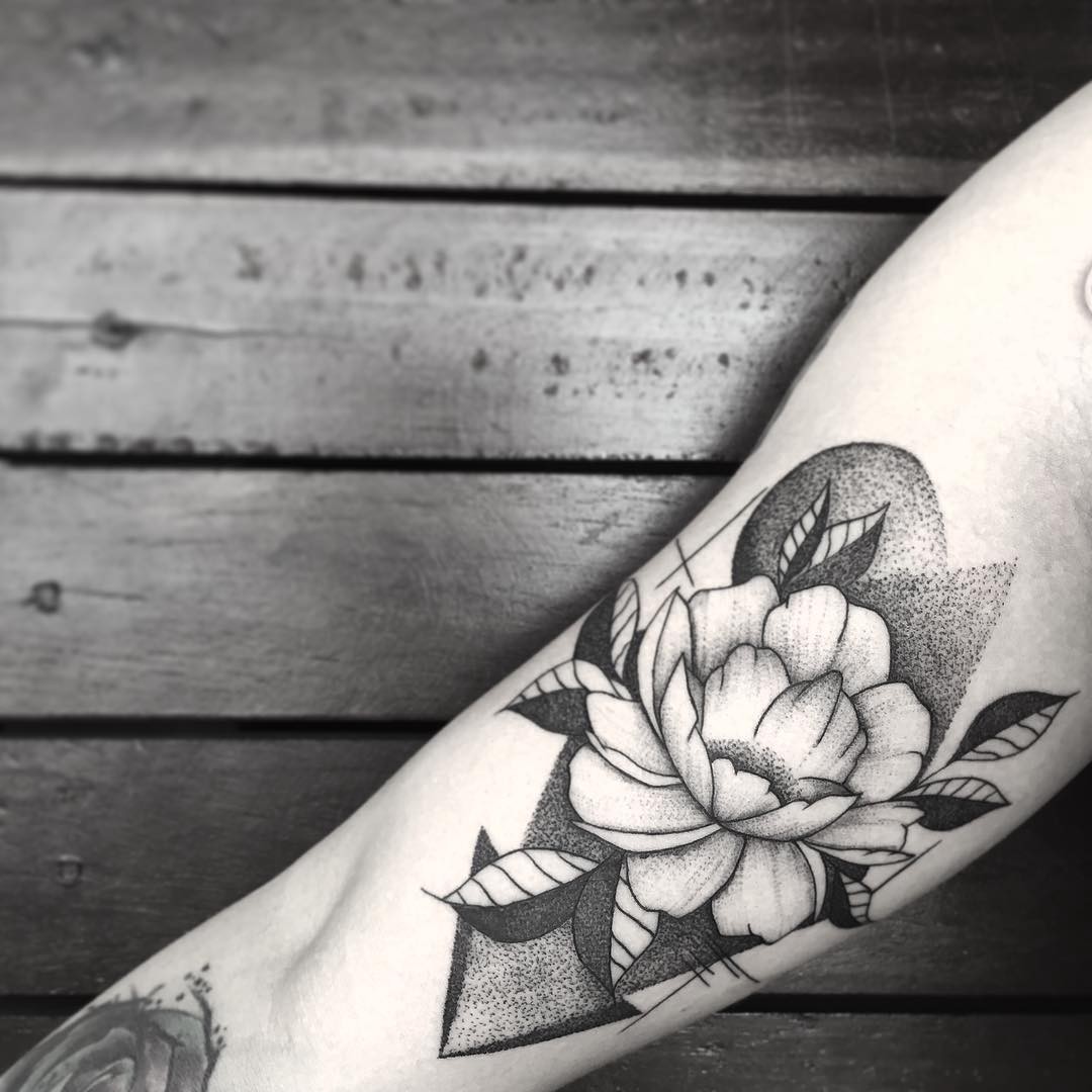 1taoptiozfjl9nyudrzjg3q 1taoptiozfjl9nyudrzjg3q