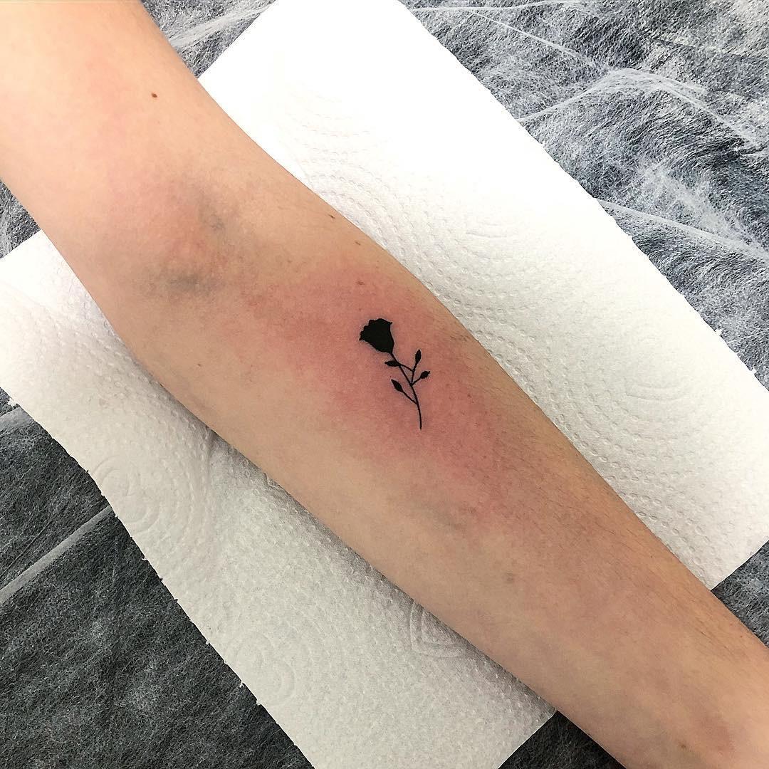 1ttxlsfvw9uptgayq6d4xhq