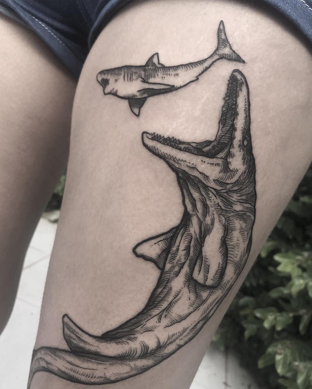 1mcc-numic8vuhtqkf1dduw 1mcc numic8vuhtqkf1dduw