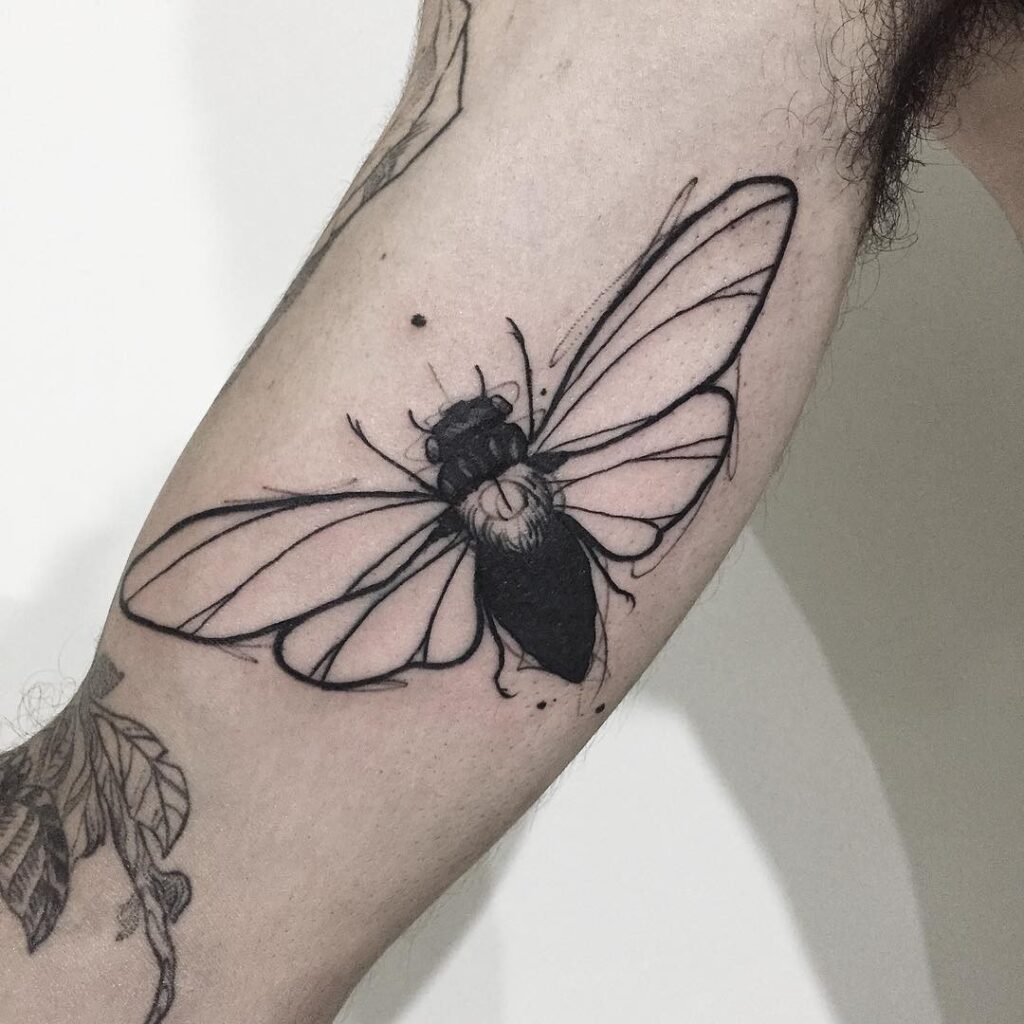 Tatuagem de cigarra em estilo minimalista no braço, combinando traços finos e sombreados.