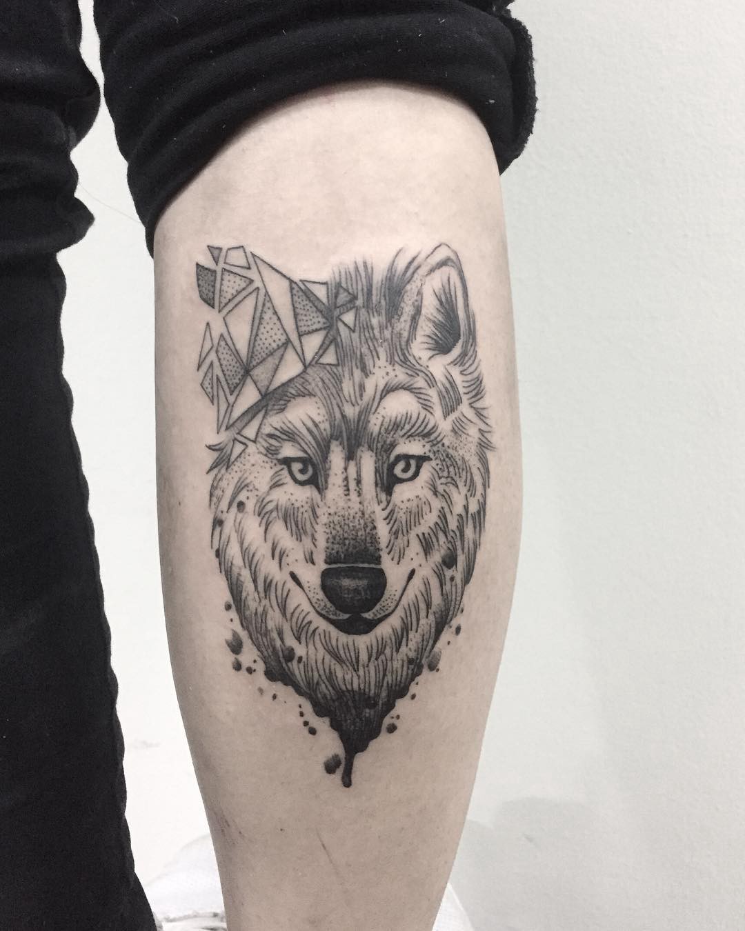 1pwqhccwlvppx_xoidqginw