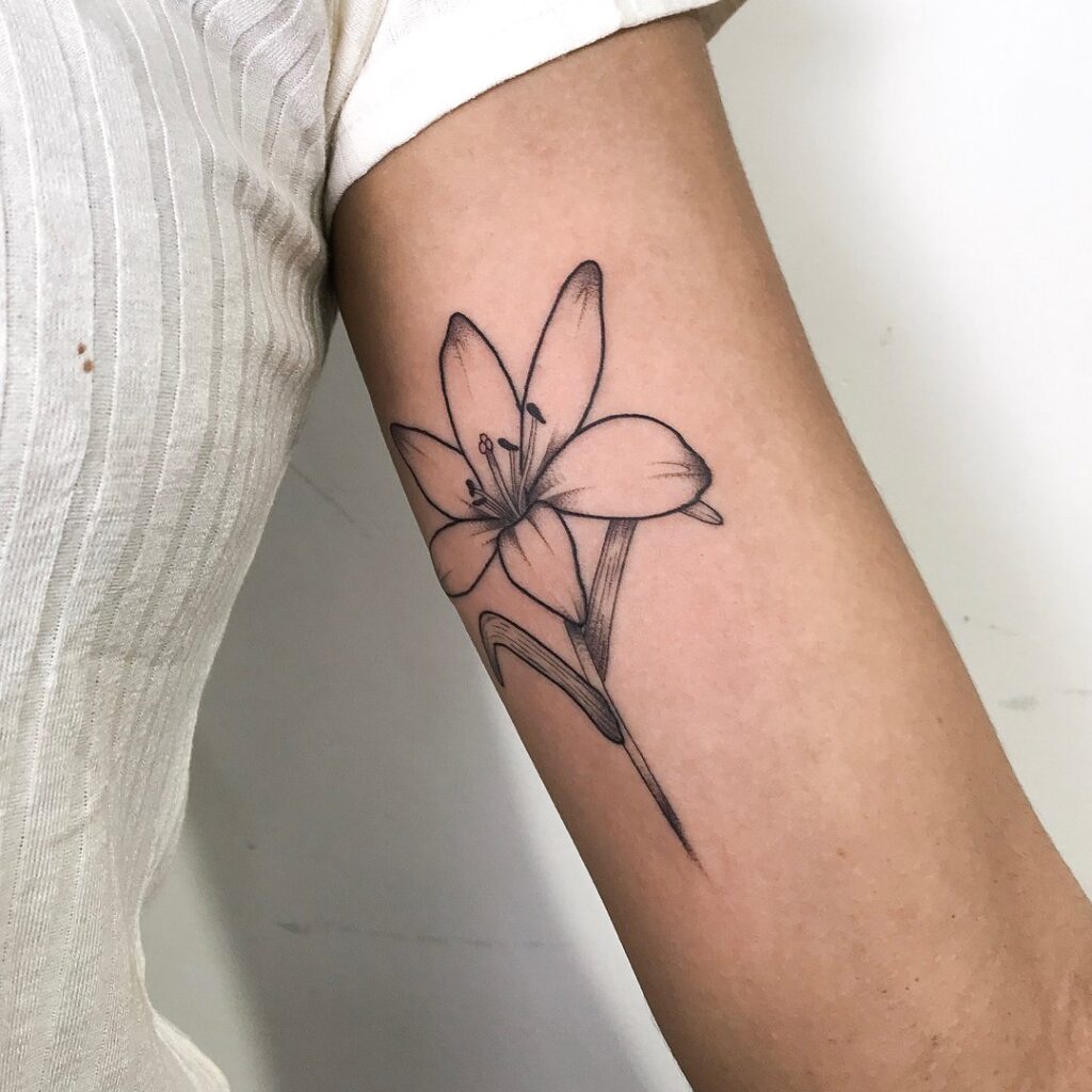 Tatuagem de flor de lírio preta no braço, em traços delicados, sobre pele clara.