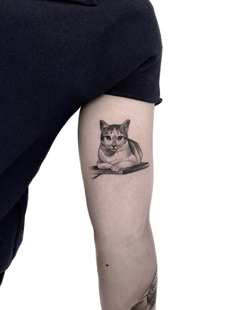 10f61v5hcaz71lhg88vqrtg 10f61v5hcaz71lhg88vqrtg