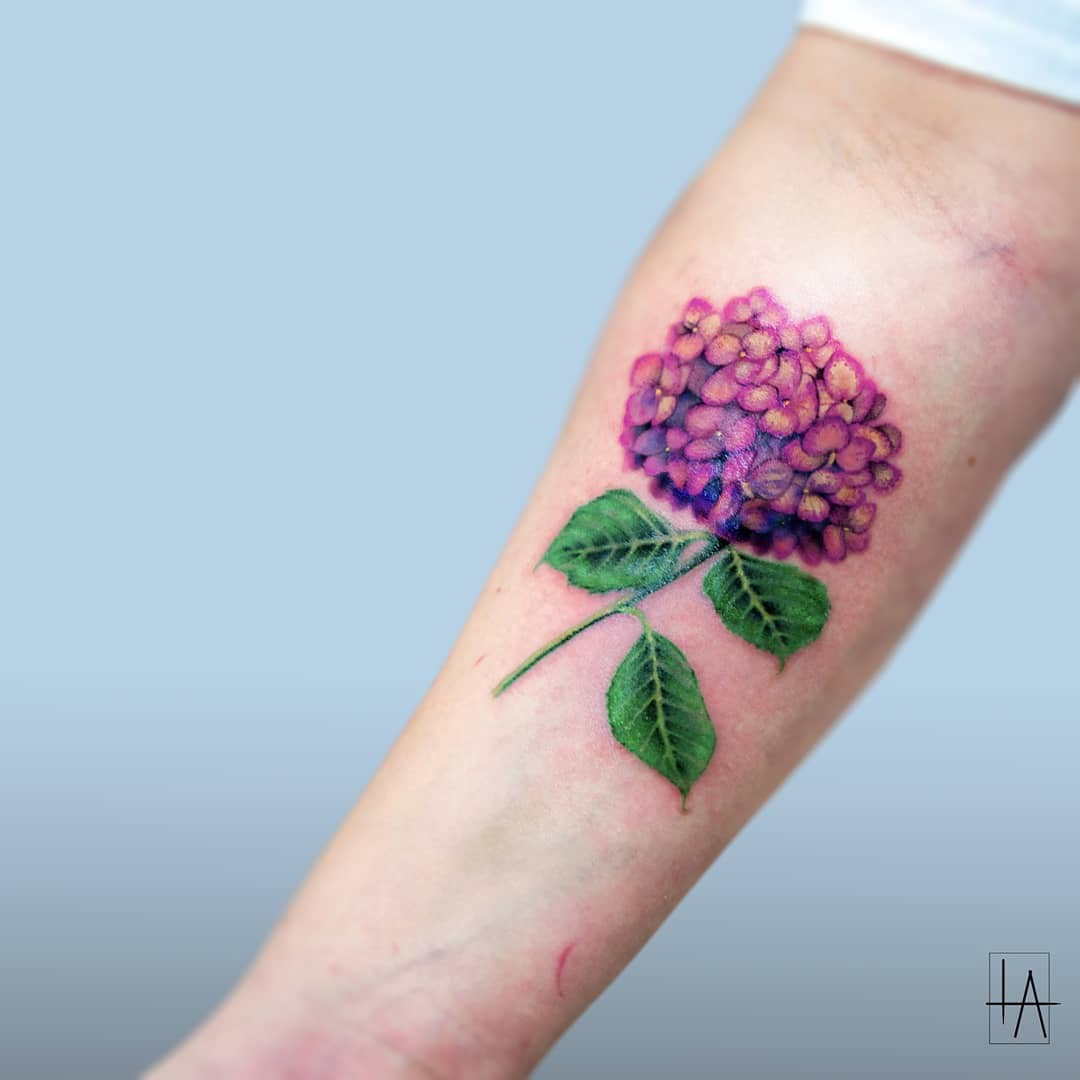 1qnrwf__9km4kaogls_zera 1qnrwf 9km4kaogls zera