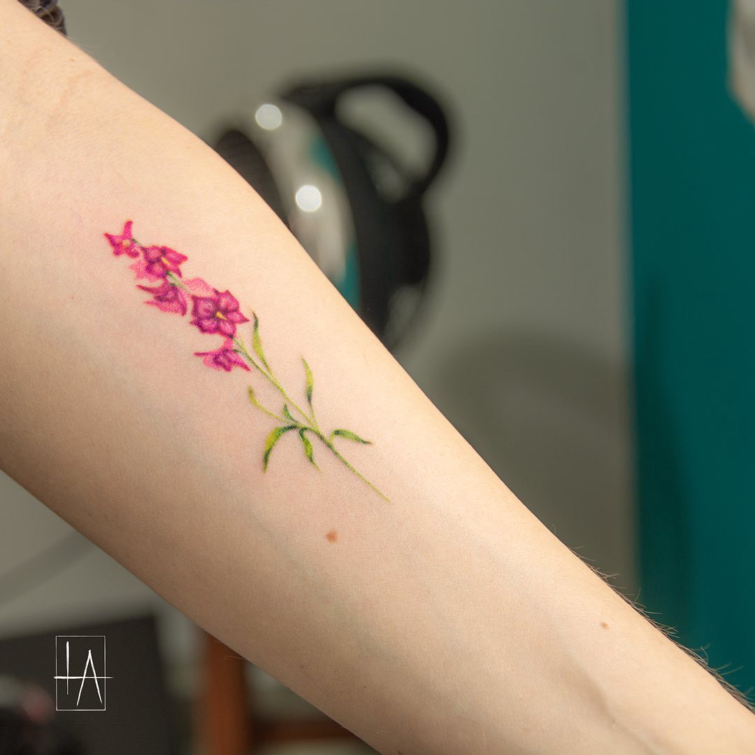 1lzv_m24jgszlitc5wid9sa 1lzv m24jgszlitc5wid9sa