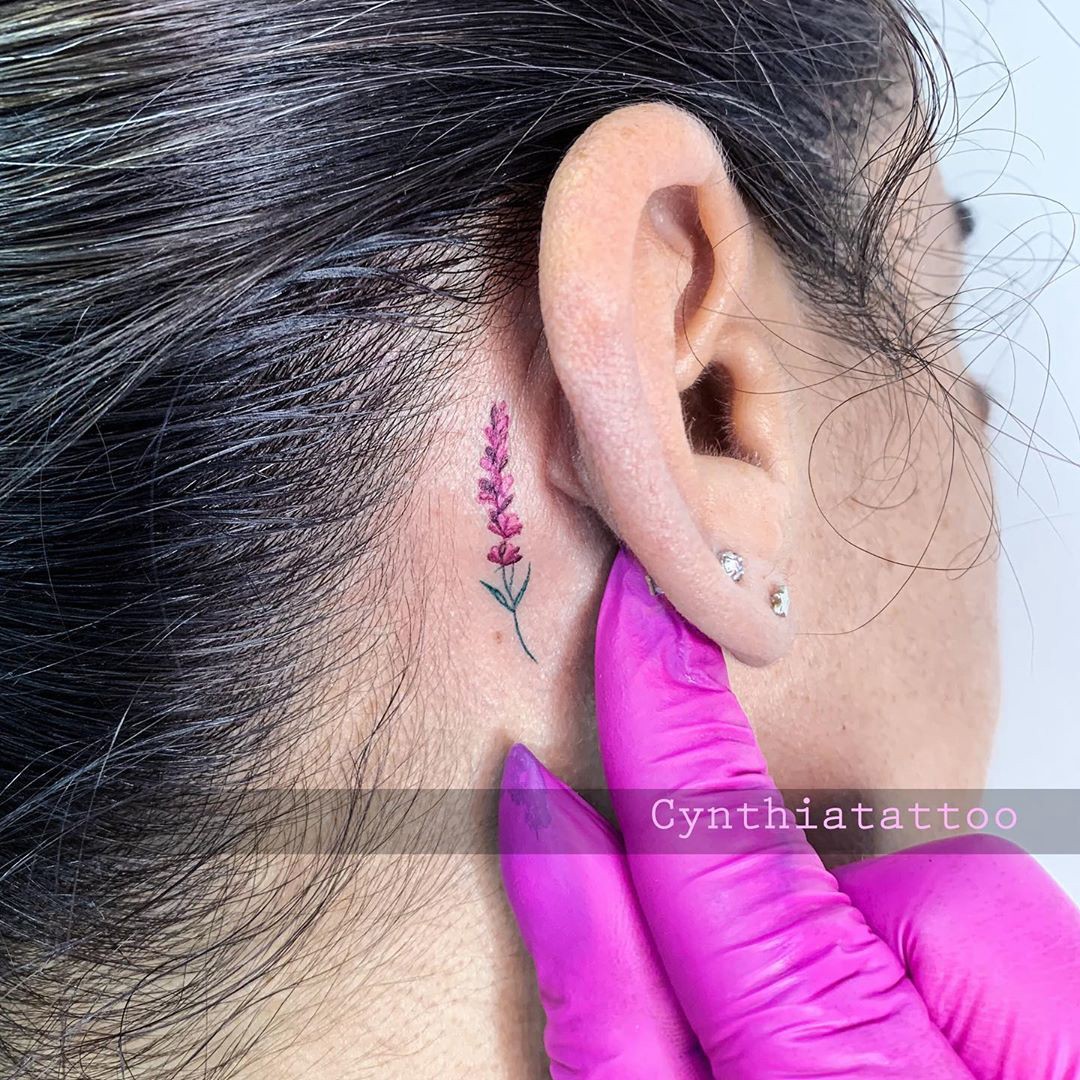 1uaumz5qfaew8mw6qwqvuuq 1uaumz5qfaew8mw6qwqvuuq