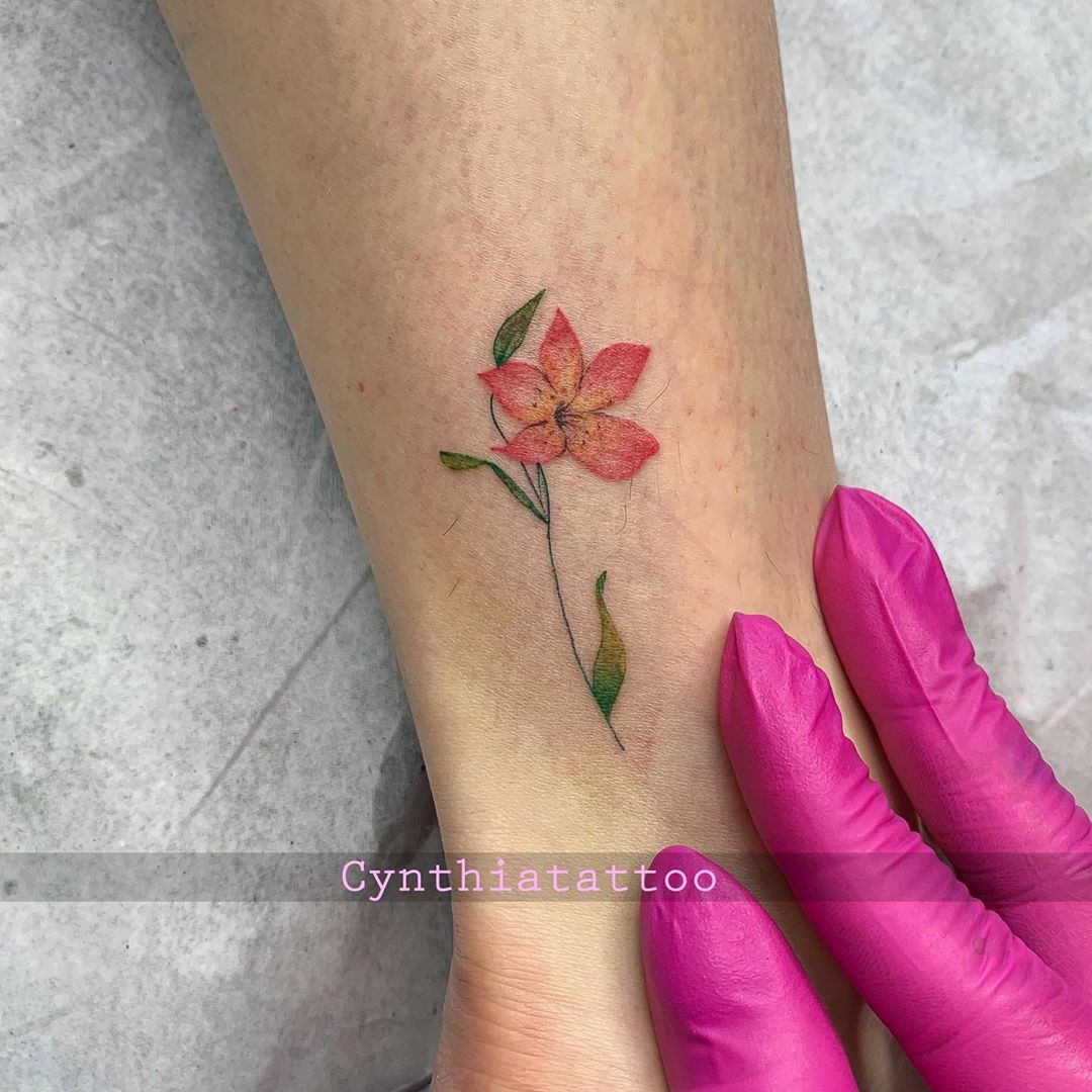 1reoumchl3r5xqcezef4wjg