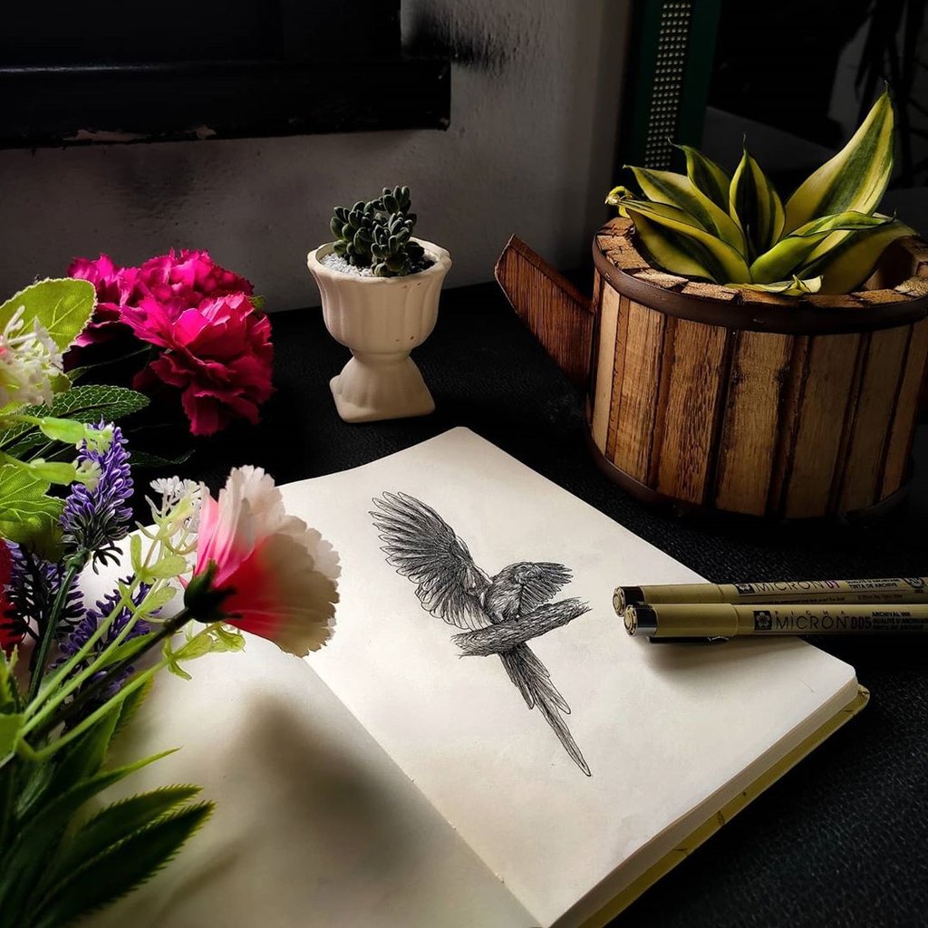 w1024-1237 w1024 1237