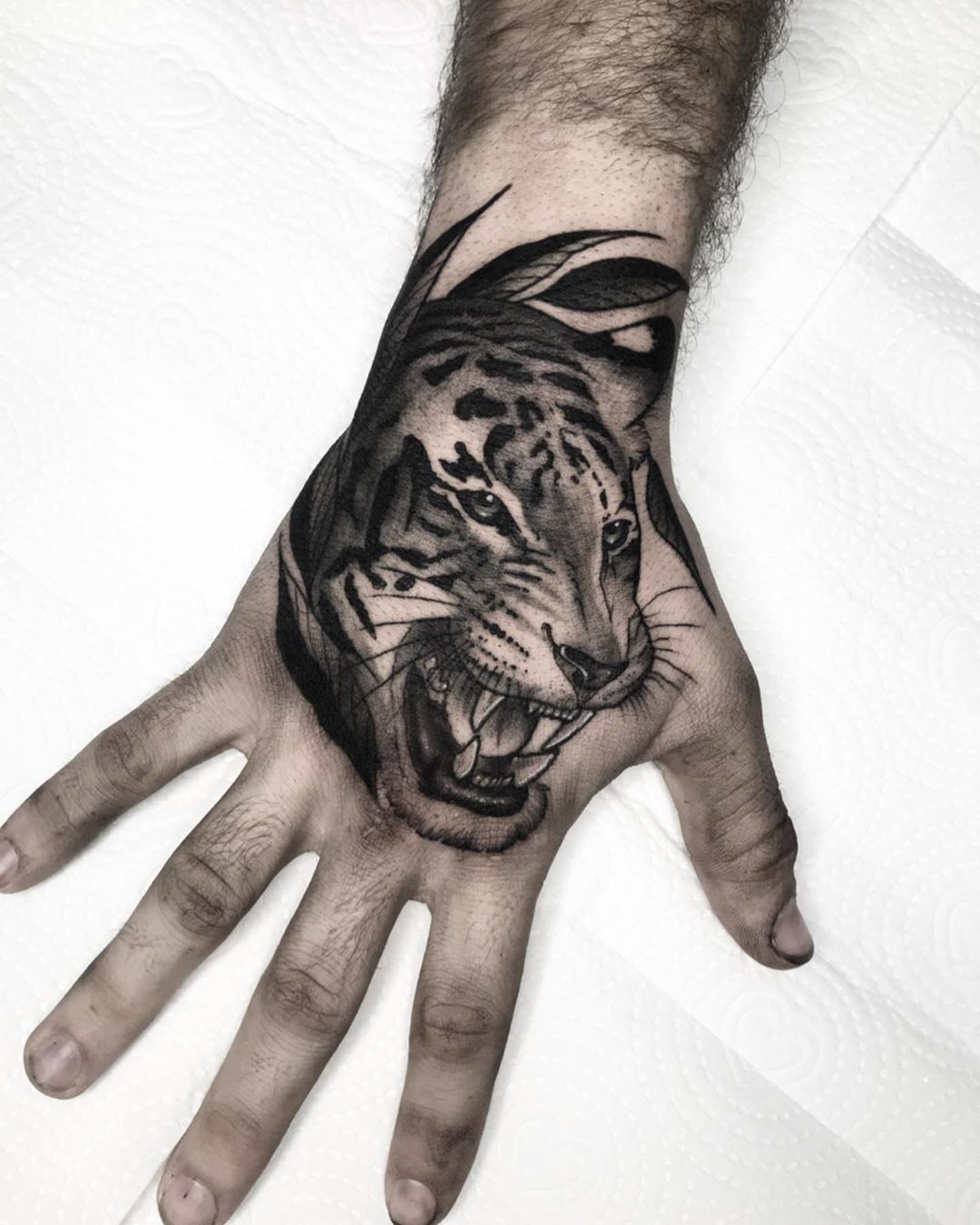 1eo1qq2nf2wuqtnhk64284w 1eo1qq2nf2wuqtnhk64284w