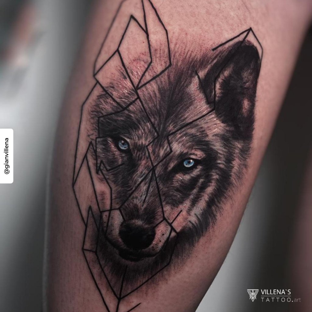 w1024-1266 w1024 1266