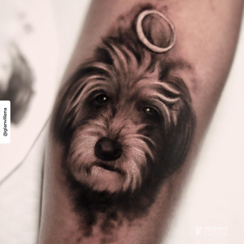 w1024-1267 w1024 1267