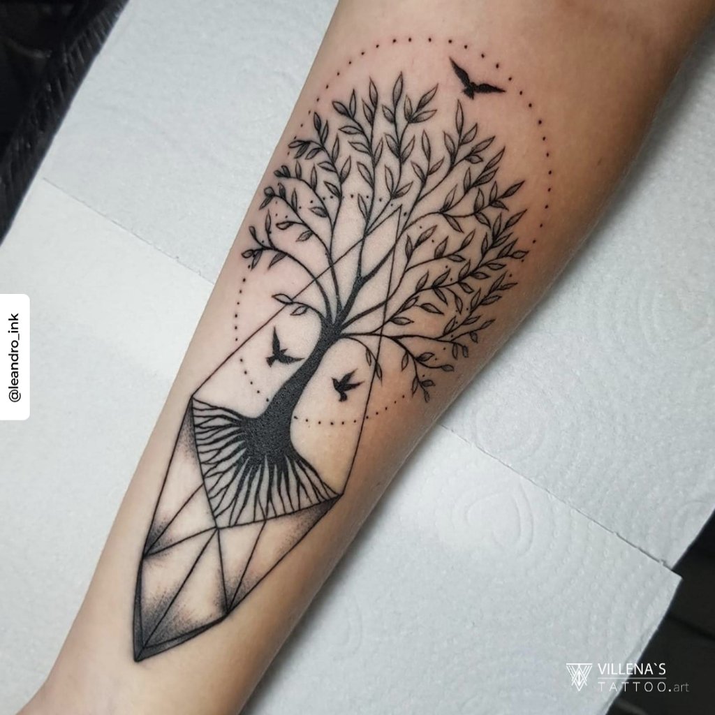 w1024-1271 w1024 1271