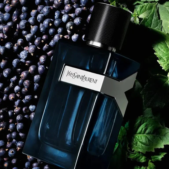 y-eau-de-parfum-intense-yves-saint-laurent-masculino-10-768x768-1 y eau de parfum intense yves saint laurent masculino 10 768x768 1