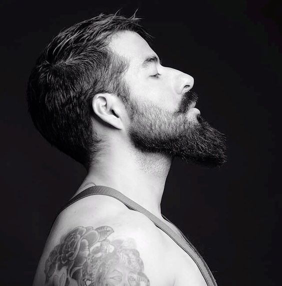 barba-em-degrad25c325aa252842529 barba em degrad25c325aa252842529