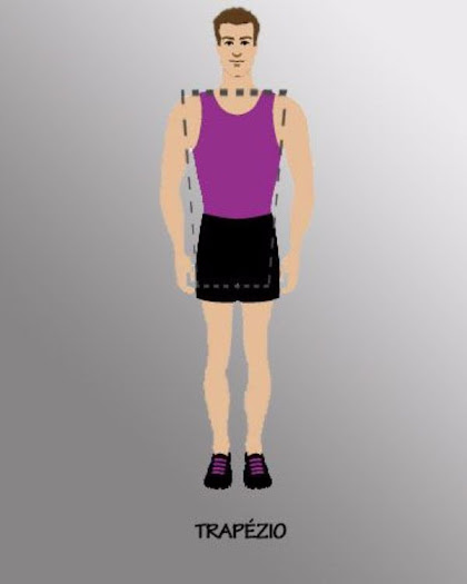 trapezio trapezio