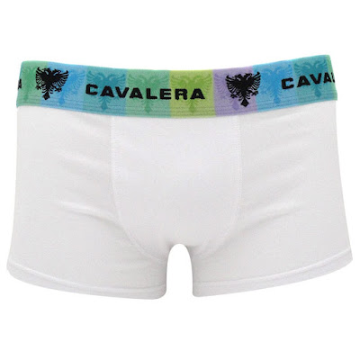cueca-sunga-cavalera-color-algodao-branca-430-02 cueca sunga cavalera color algodao branca 430 02