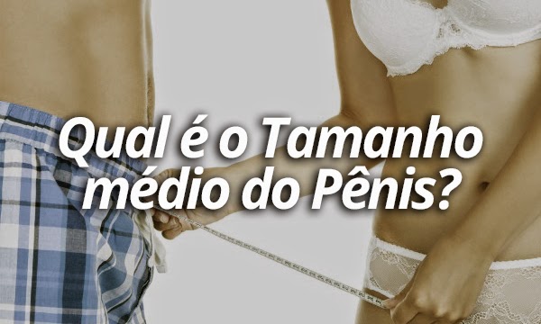 tamanho medio do penis