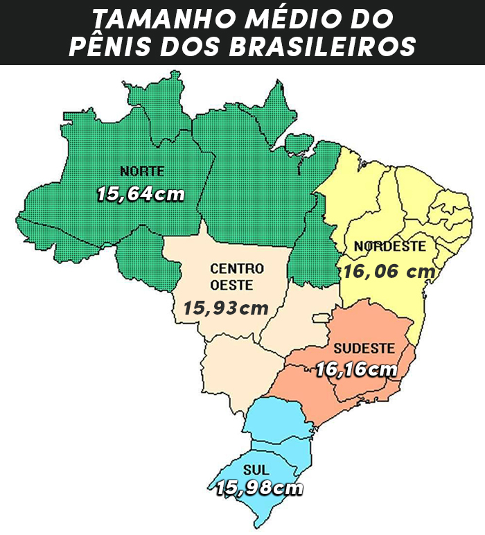 tamanho medio penis