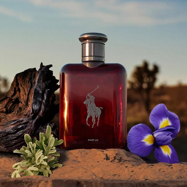 polo-red-parfum-ralph-lauren-refillable-masculino-10-768x768-1 polo red parfum ralph lauren refillable masculino 10 768x768 1