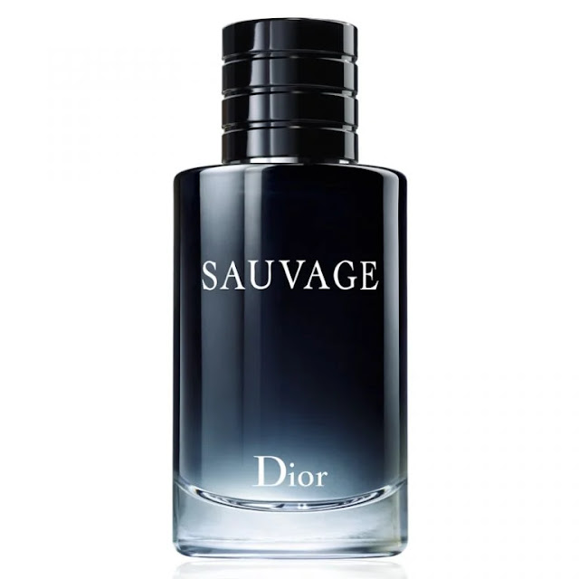 perfume_sauvage_dior_eau_de_toilette_masculino_100ml-768x768-2 perfume sauvage dior eau de toilette masculino 100ml 768x768 2