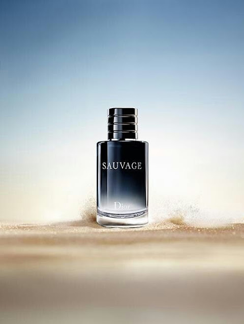 sauvage 3