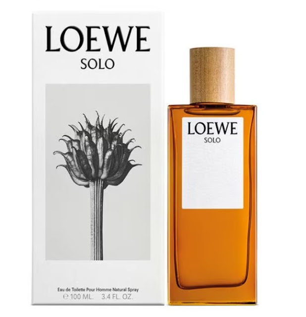 loewe20solo202 loewe20solo202