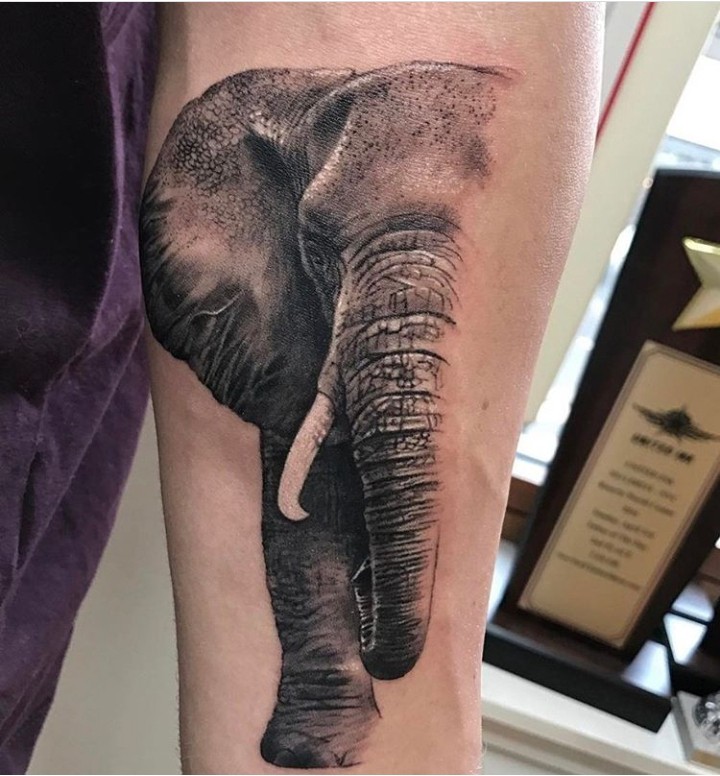 significado da tatuagem de elefante 49