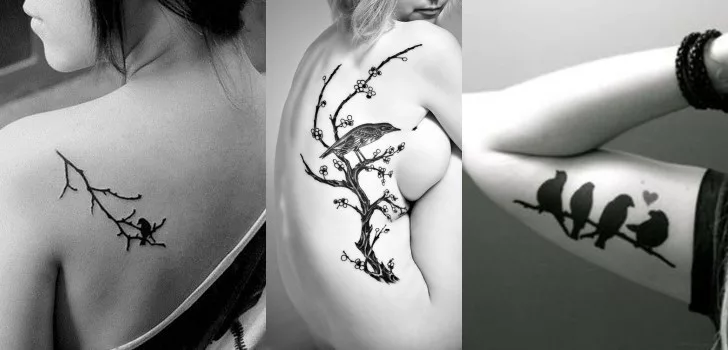 Tatuagem de Pássaros Mistura Simbologia Com Delicadeza